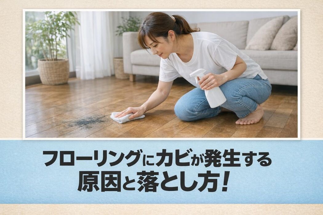 画像3452